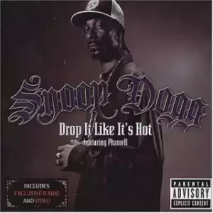 Instrumental: Snoop Dogg - Drop It Like Its Hot Ft. Pharrell Williams  (Produced By The Neptunes)